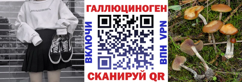 Купить  Пугачёв  Псилоцибиновые грибы мухоморы 